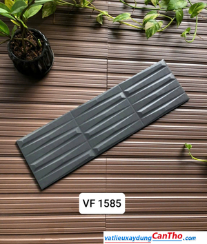 Việt Nhật VF 1585
